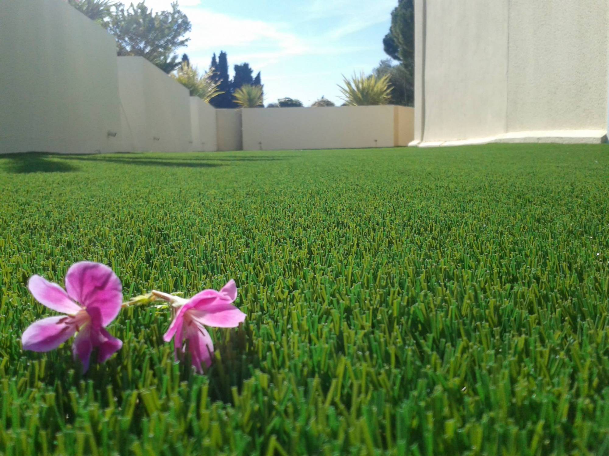 meilleure gazon synthétique