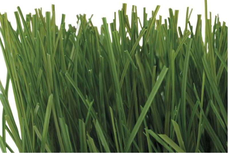 gazon artificiel à mémoire de forme pour football à 5