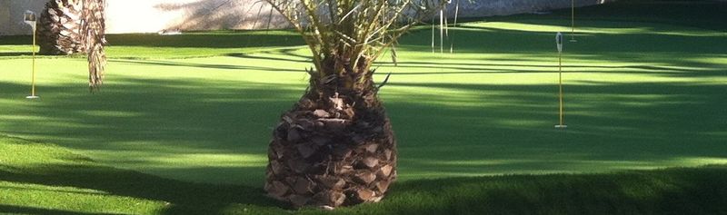 Pré-green pour putting green synthétique de golf