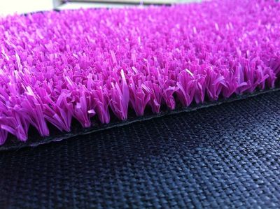 Nos prestations sur le secteur de Strasbourg Alsace